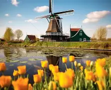 荷兰绝地反击比利时，埃尔林惊艳世界