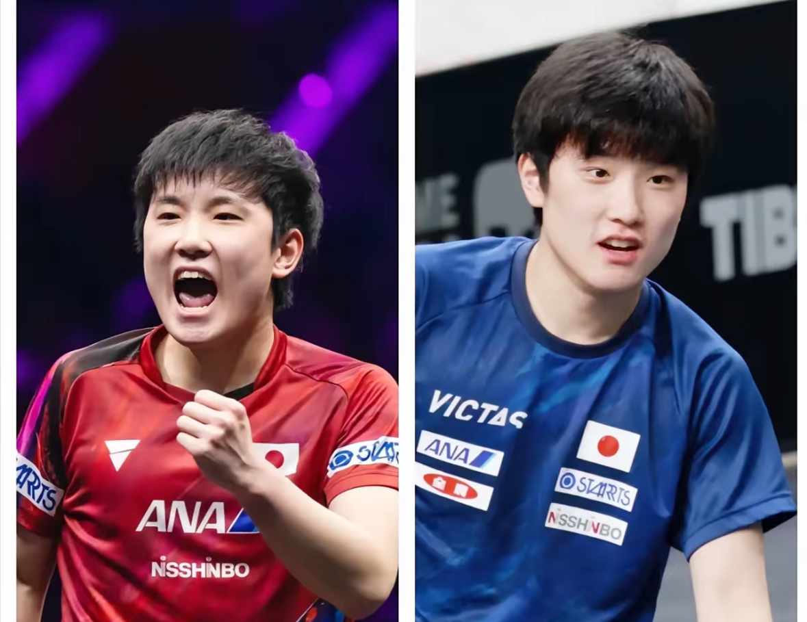 关于波兰乒乓球队绝地反击法国乒乓球队，张本智和关键制胜的信息